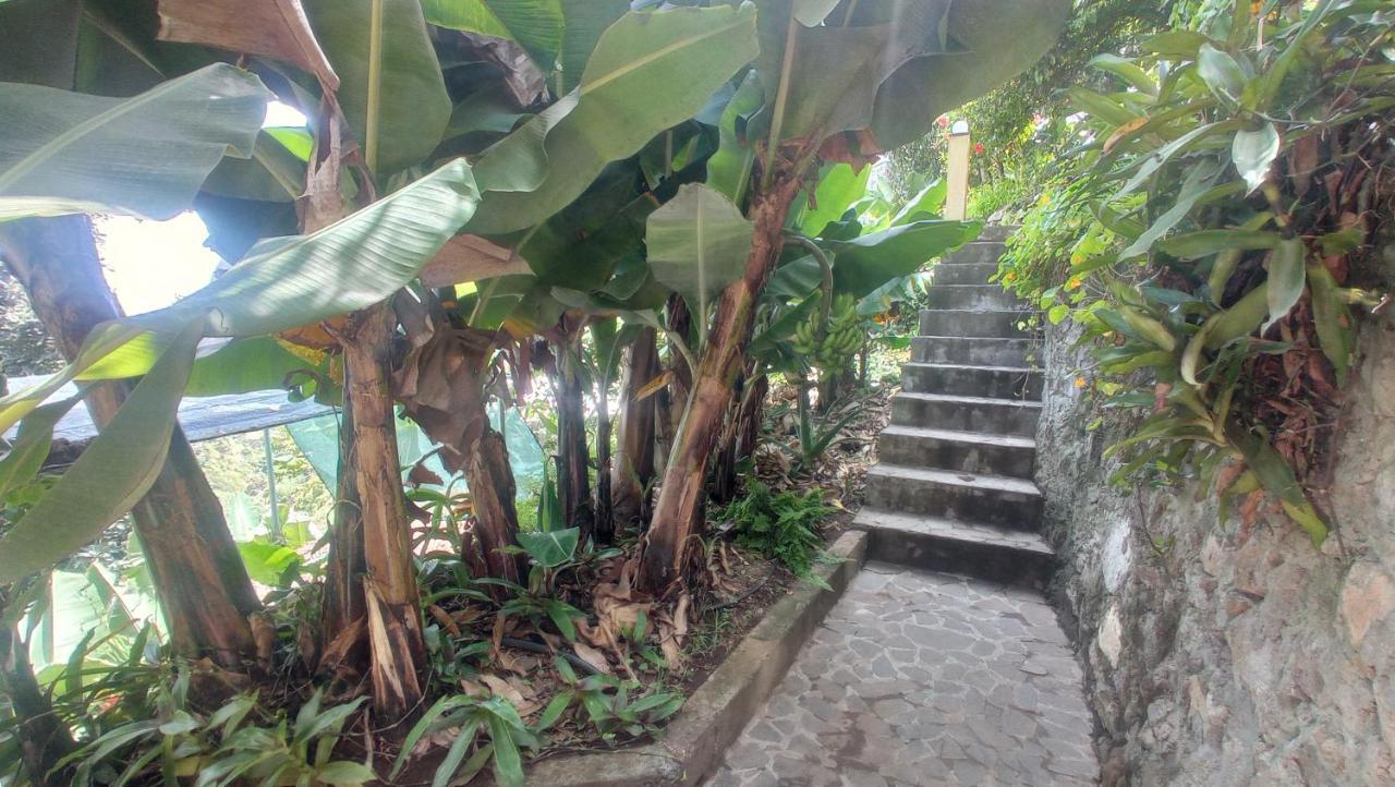 Casa Cavoquinho Nocleg ze śniadaniem