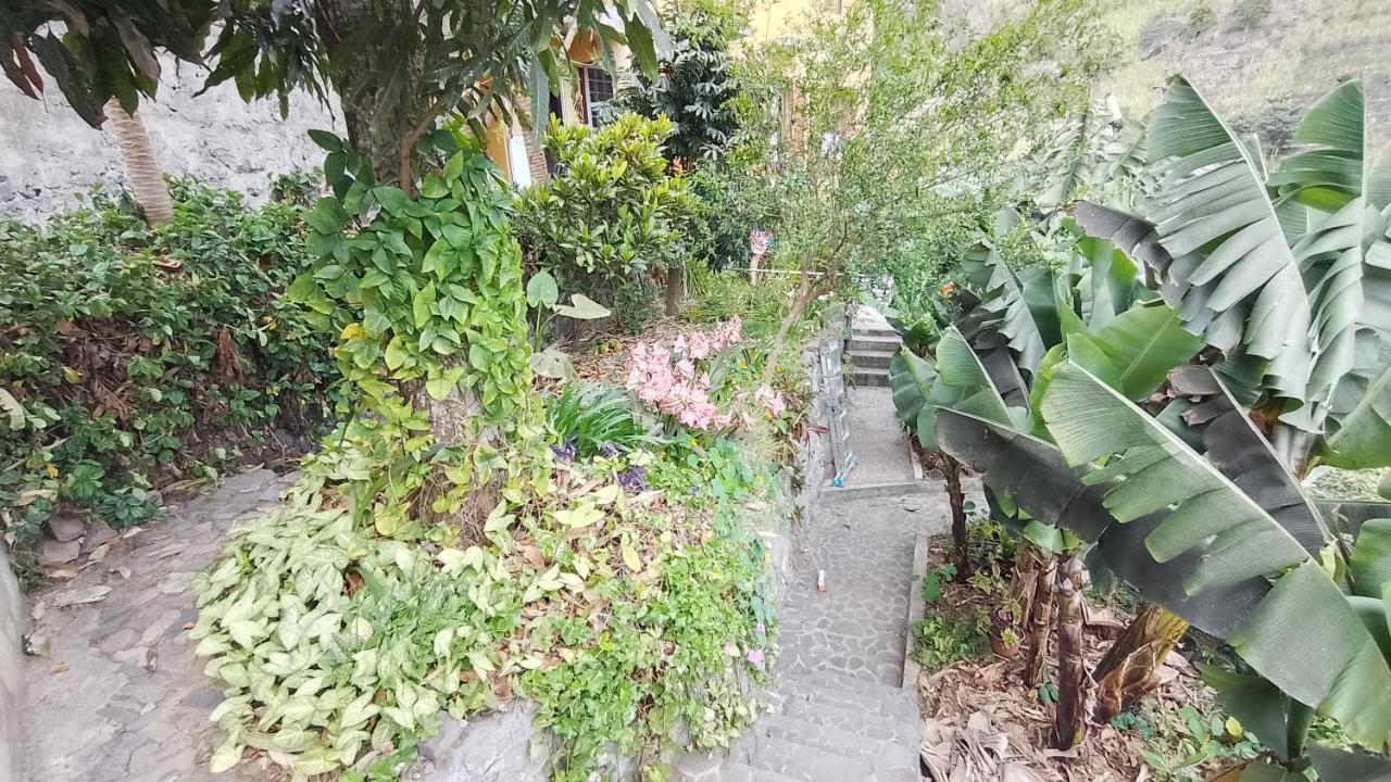 Nocleg ze śniadaniem Casa Cavoquinho 3*