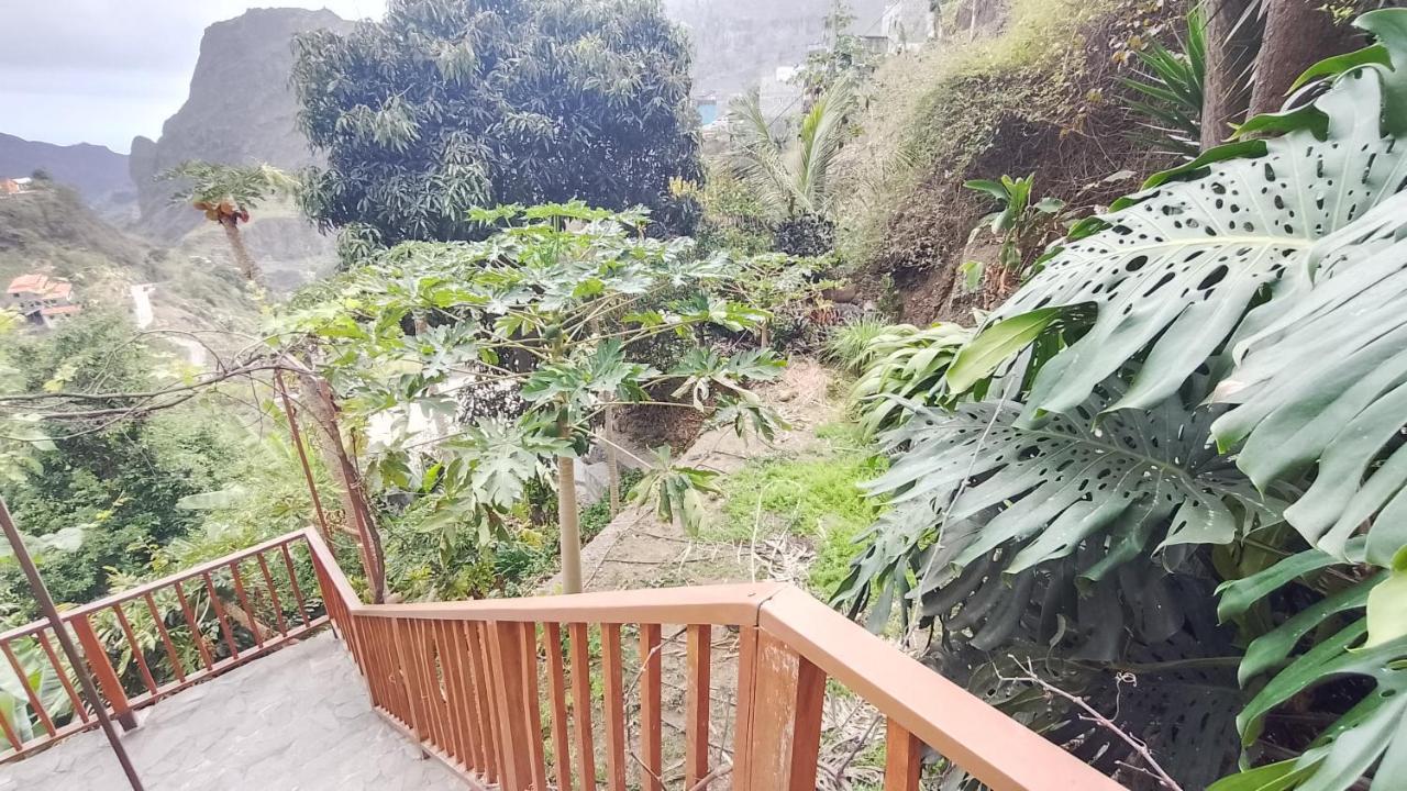 Casa Cavoquinho Bed & Breakfast Paul